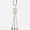 Câble De Chargeur 2-en-1