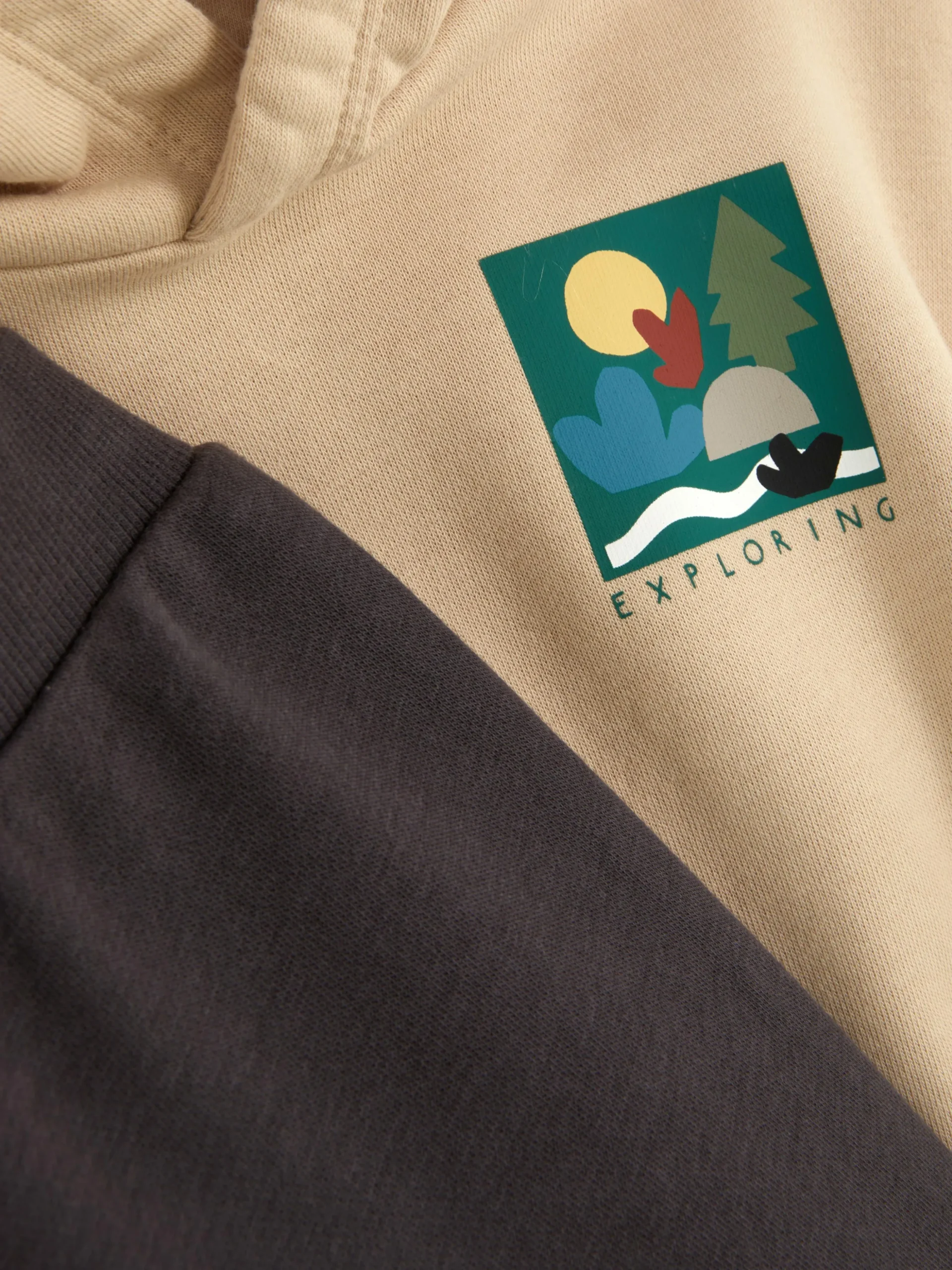 Ensemble Sweat à Capuche Et Bas De Jogging