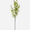 Faux Eucalyptus à Tige Unique