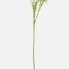 Gypsophile Artificielle Une Tige