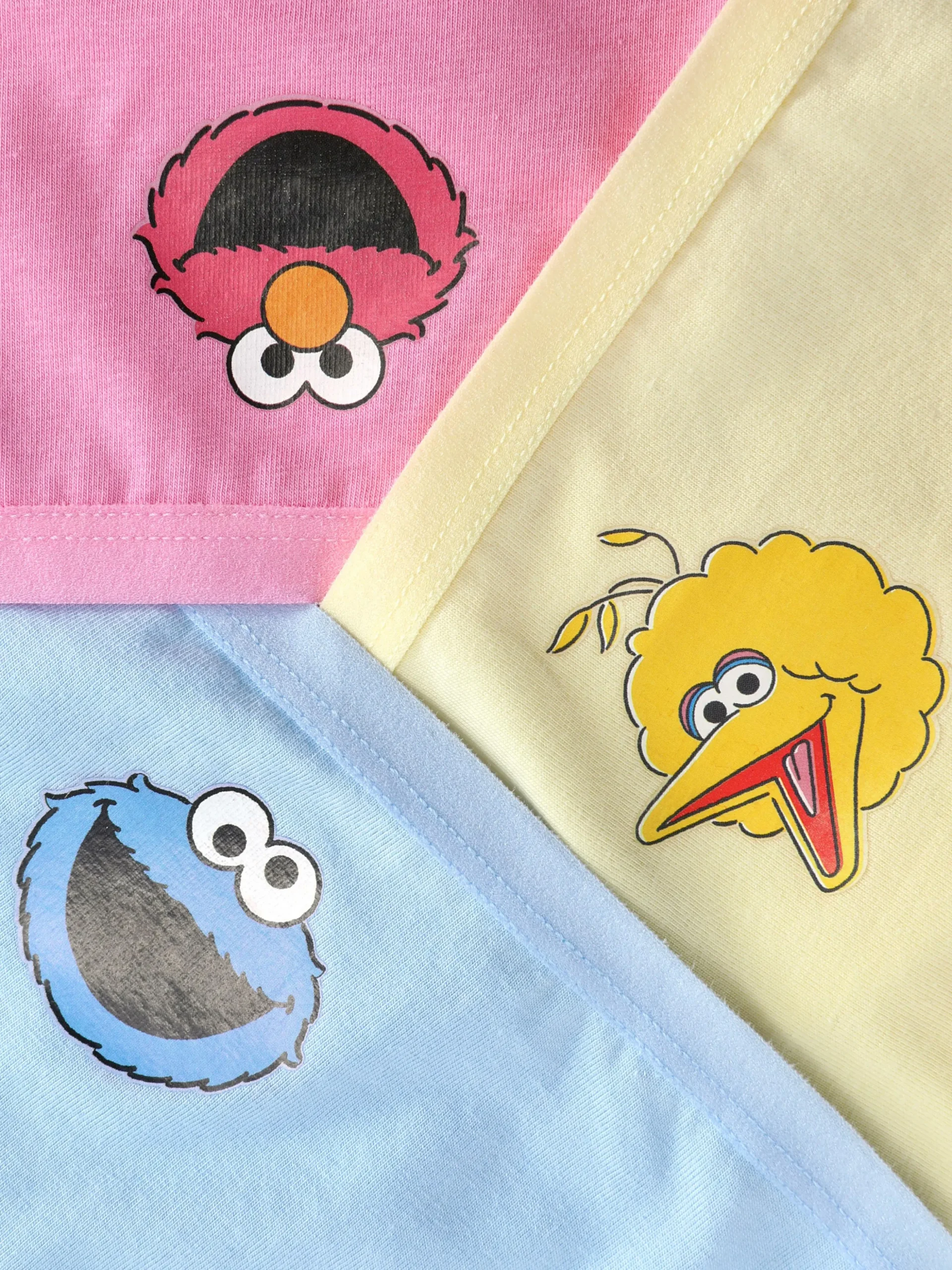 Lot De 3 Culottes Personnage Sesame Street