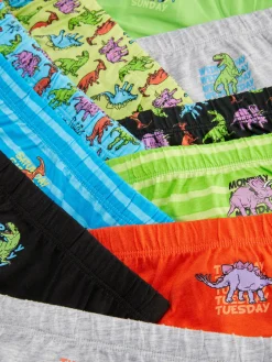 Lot De 10 Slips Jours De La Semaine à Motif Dinosaure