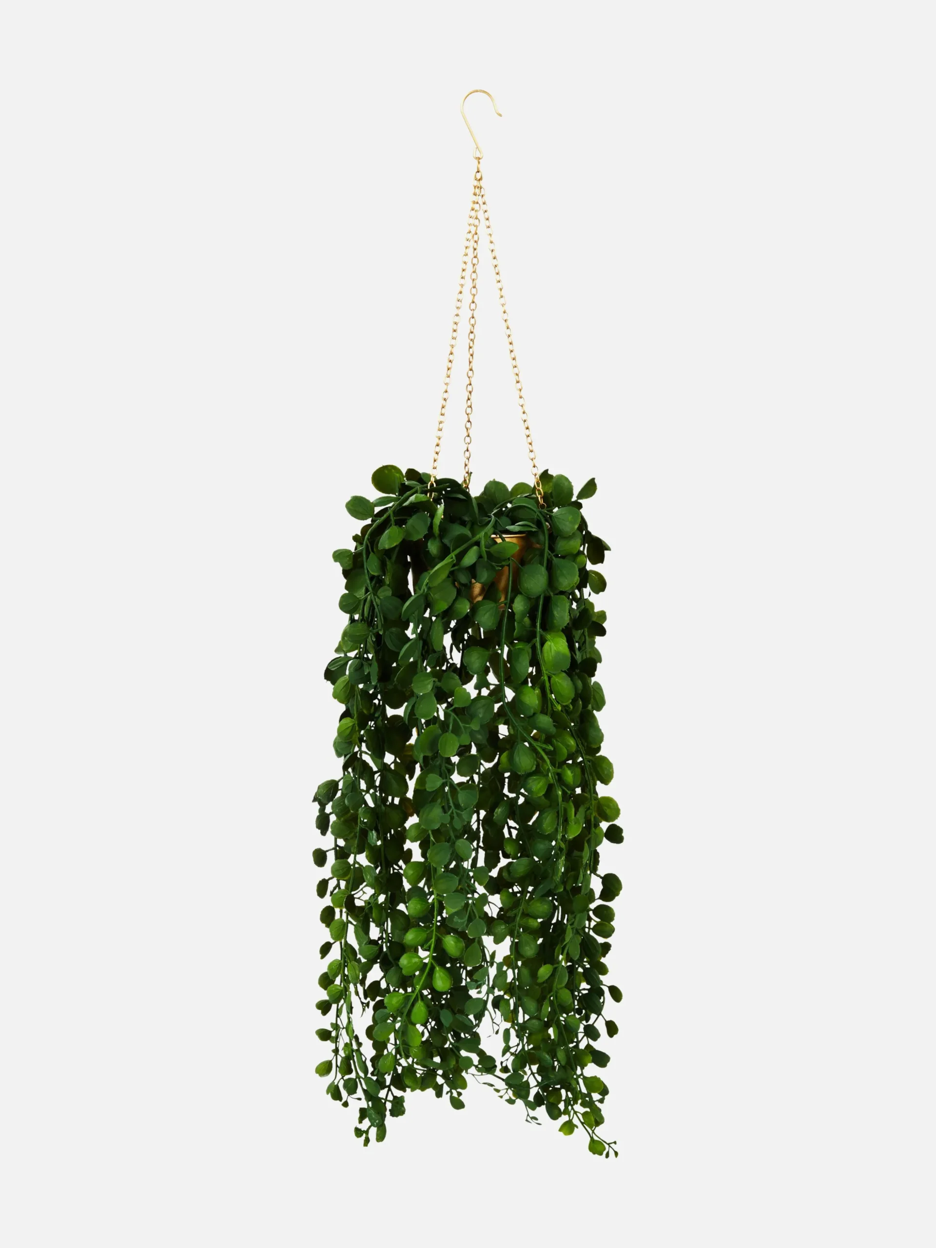 Plante Rampante Artificielle Dans Jardinière