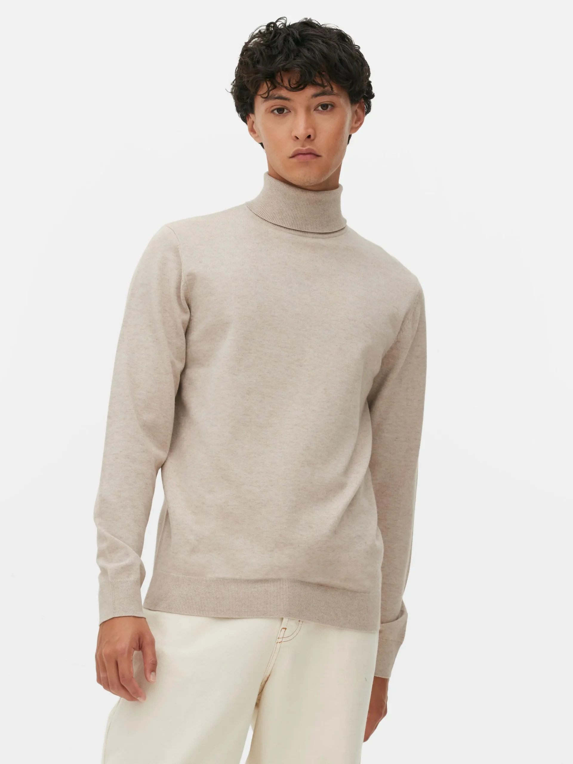 Pull Fine Maille à Col Roulé