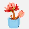 Set De Blocs De Construction Plante Succulente